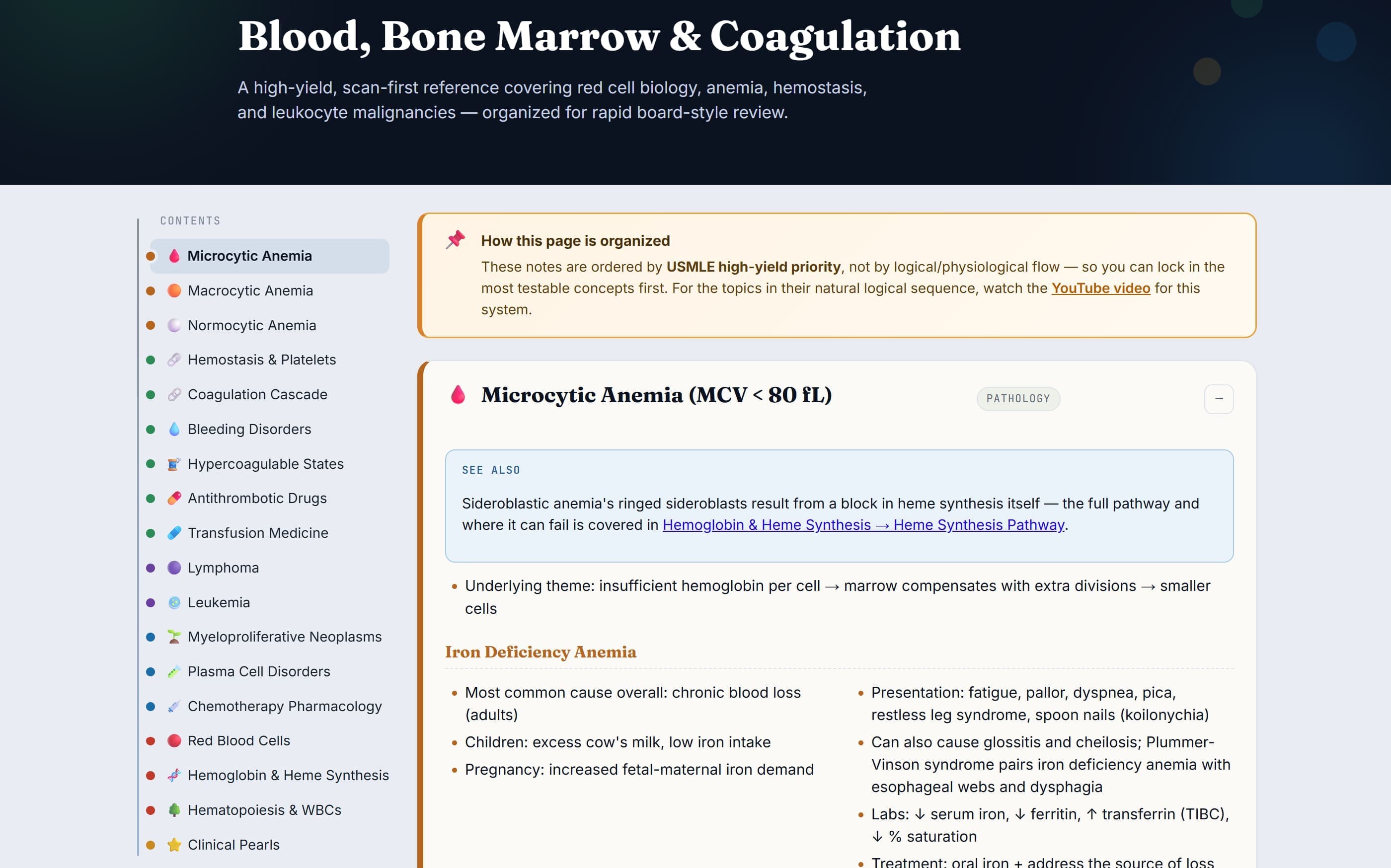 Hematology and oncology notes preview