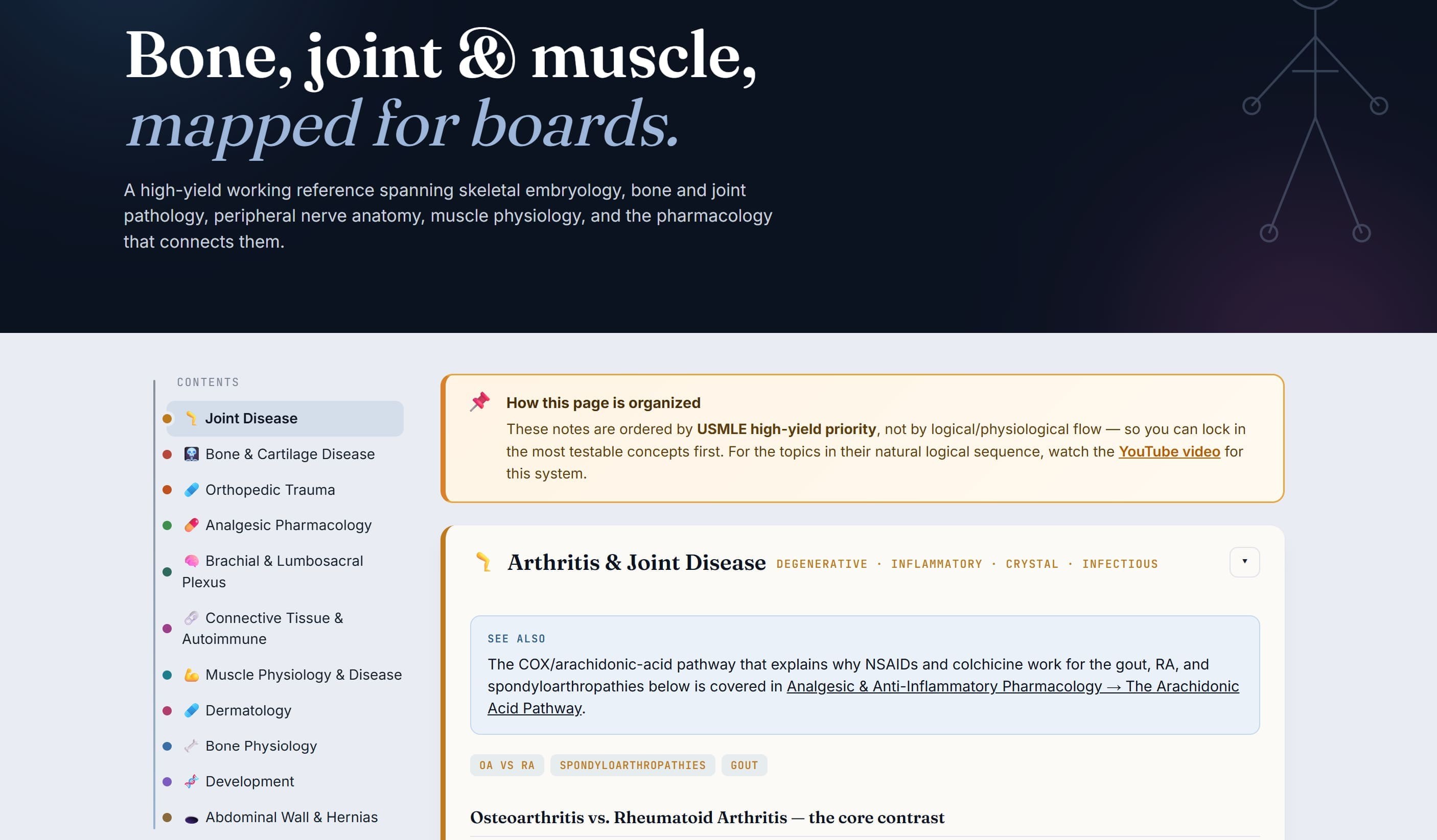 Musculoskeletal system notes preview