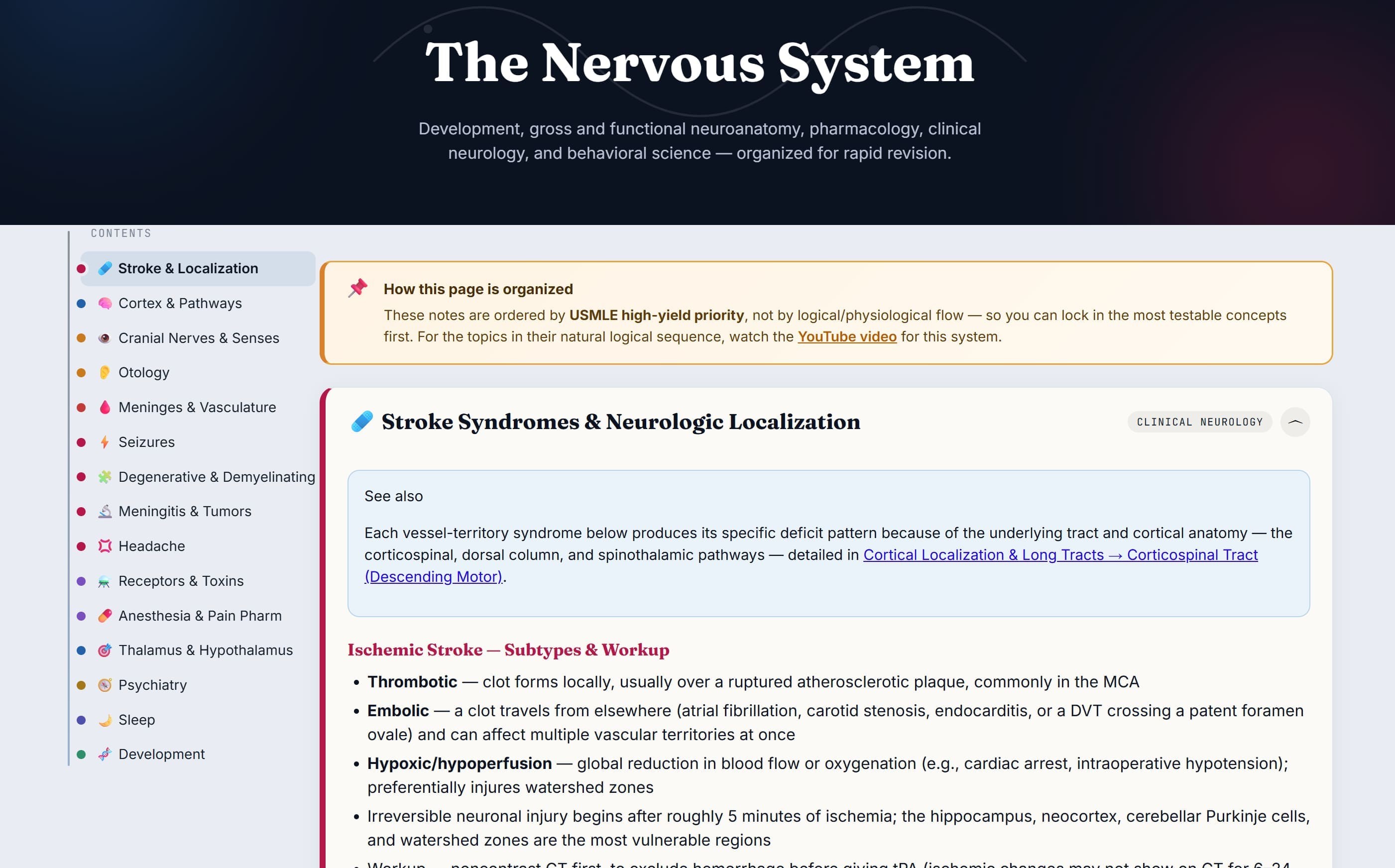 Nervous system notes preview