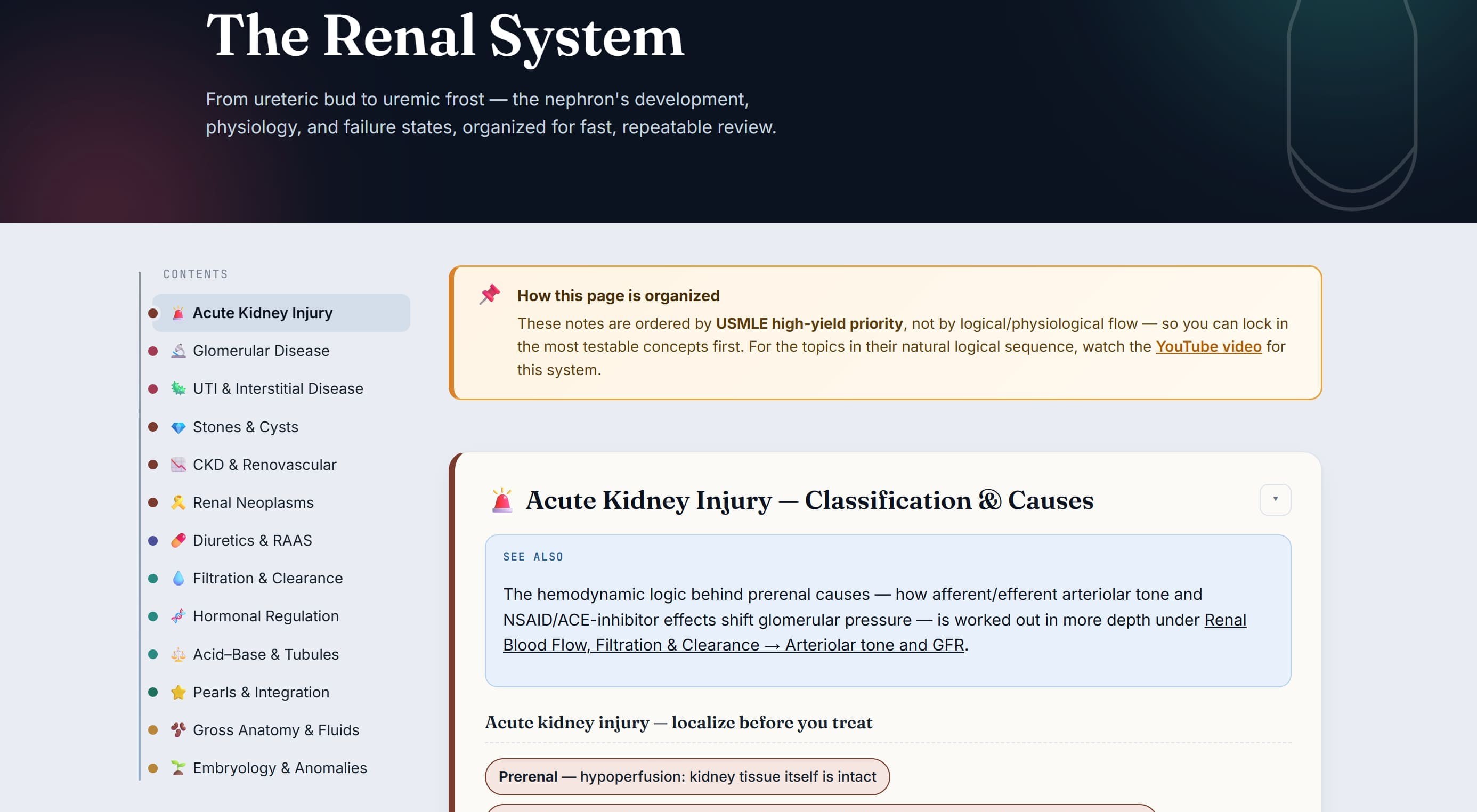 Renal system notes preview