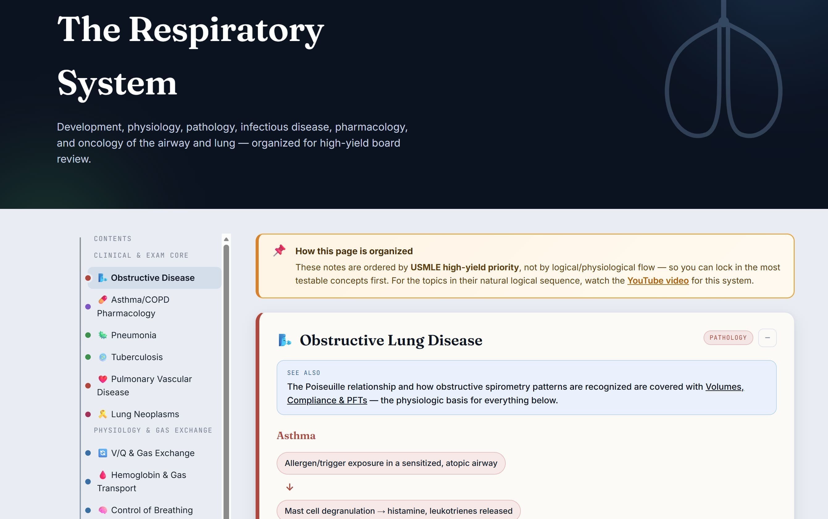 Respiratory system notes preview